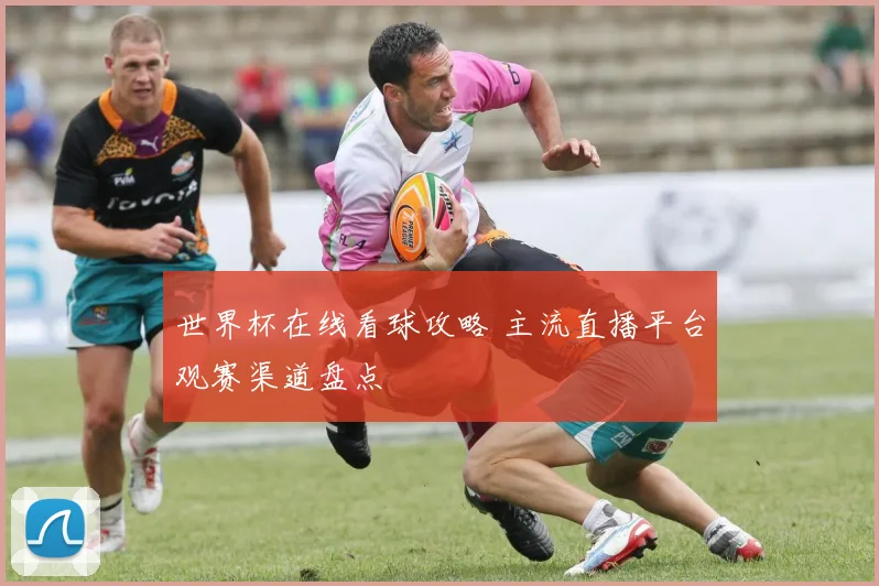 世界杯在线看球攻略 主流直播平台观赛渠道盘点