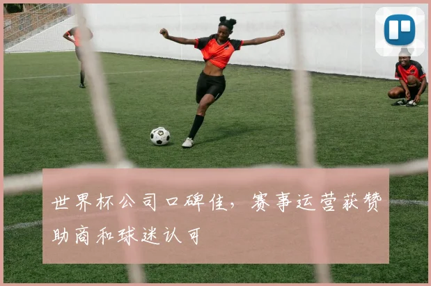 世界杯公司口碑佳,赛事运营获赞助商和球迷认可